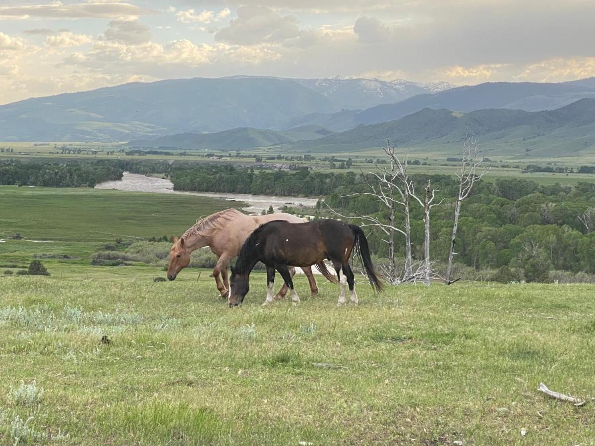 Pine Creek Cabin Livingston Montana Exterior foto