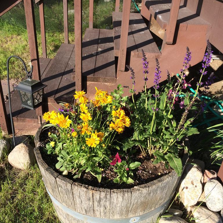 Pine Creek Cabin Livingston Montana Exterior foto