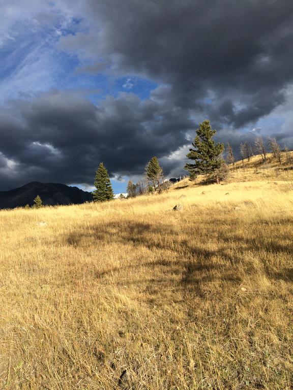 Pine Creek Cabin Livingston Montana Exterior foto